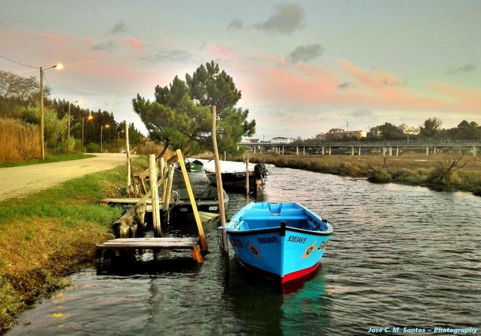 アヴェイロCasa Da Ribeiraアパートメント エクステリア 写真